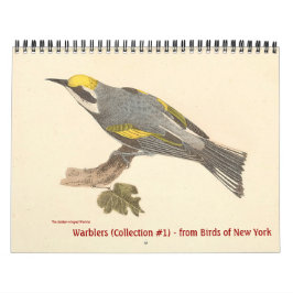 Calendario Colección Warbler #1 litografías de aves de Nueva 