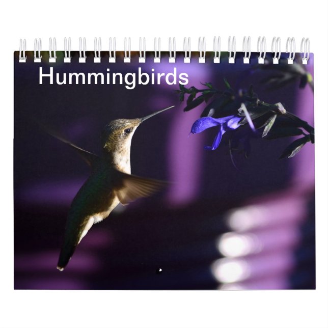 Calendario Colibrí (Tapa)