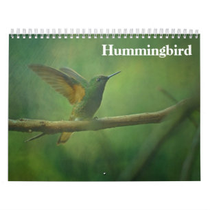 Calendario Colibrí 2027