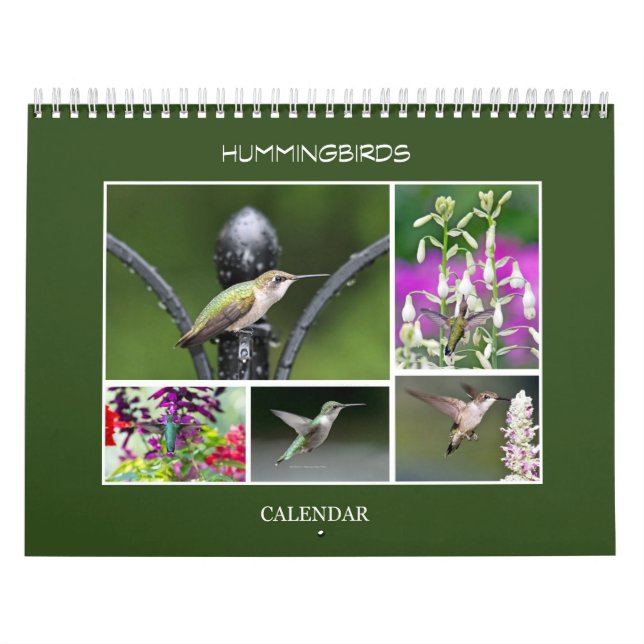 Calendario Colibríes (Tapa)