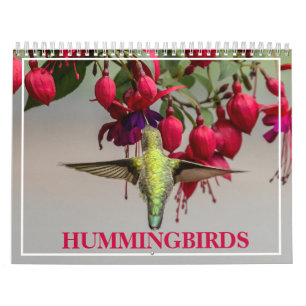 Calendario Colibríes