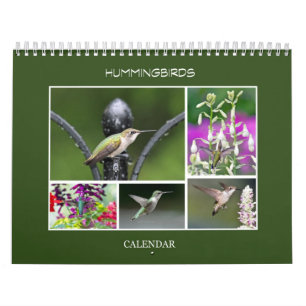 Calendario Colibríes