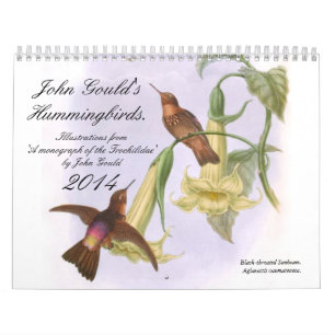 Calendario Colibríes 2014 de Juan Gould