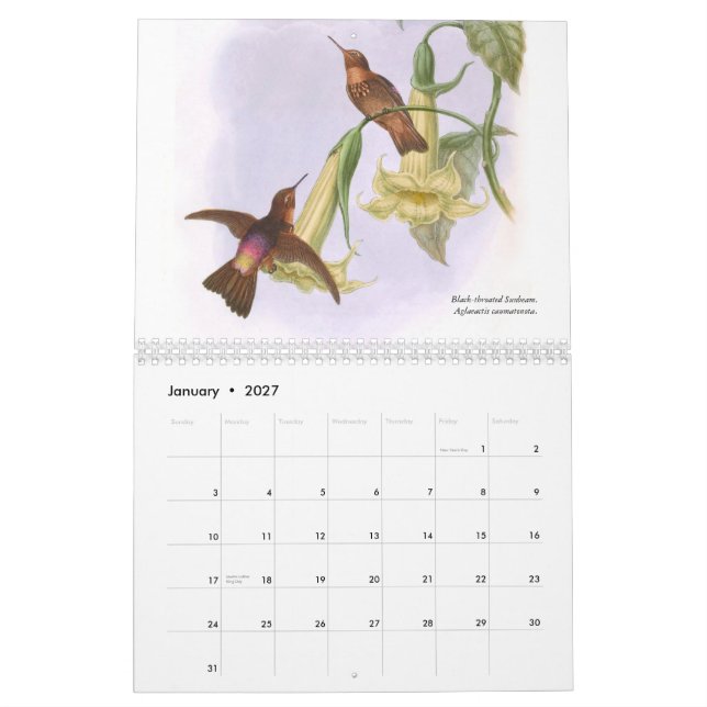 Calendario Colibríes 2015 de Juan Gould (Jan 2027)