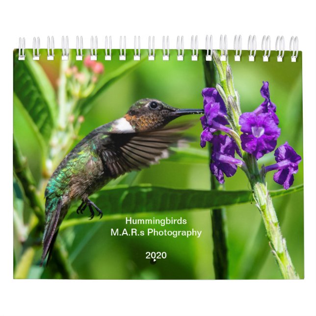 Calendario Colibríes 2020 (Tapa)