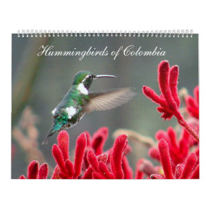 Calendario Colibríes de Colombia