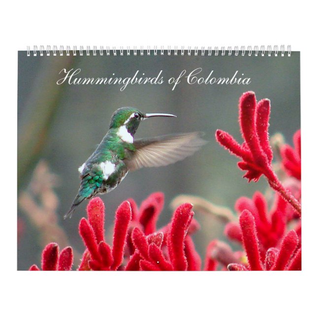 Calendario Colibríes de Colombia (Tapa)