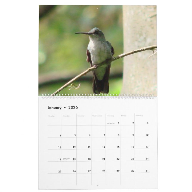 Calendario Colibríes de Colombia (Jan 2026)