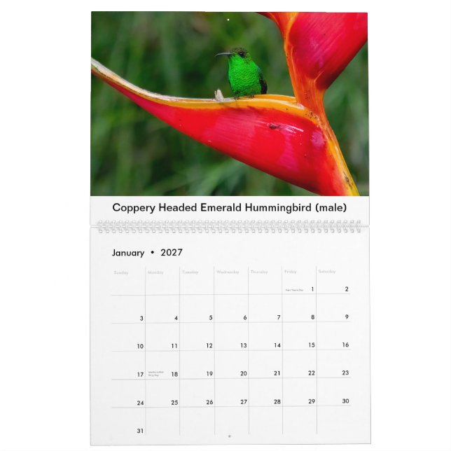 Calendario Colibríes de Costa Rica (Jan 2027)