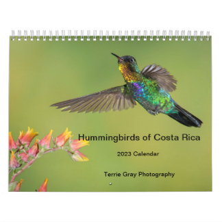 Calendario Colibríes de Costa Rica