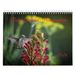 Calendario Colibríes de Garganta Rubí
