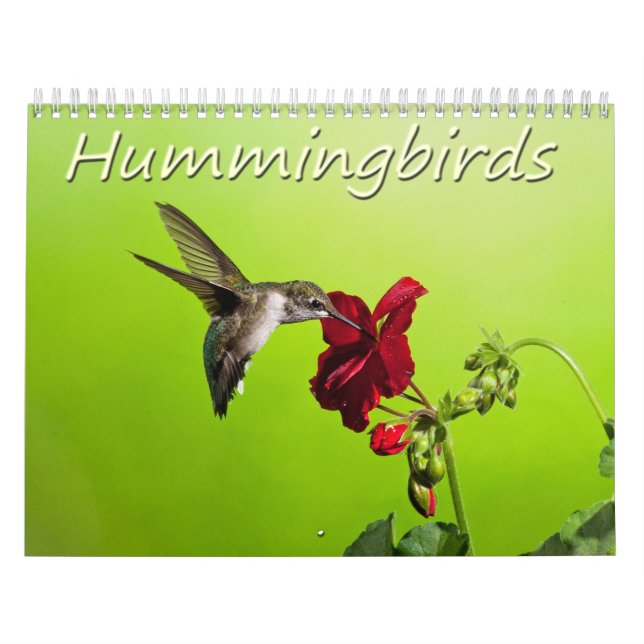 Calendario Colibríes de la fotografía de Lara Ellis (Tapa)