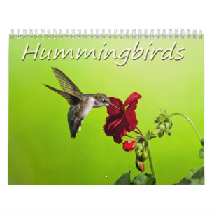 Calendario Colibríes de la fotografía de Lara Ellis