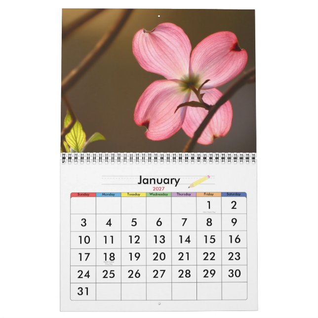 Calendario Color vivo (Jan 2027)