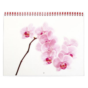 Calendario Color vivo