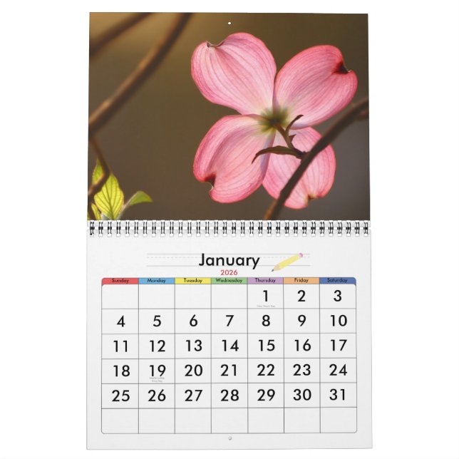 Calendario Color vivo (Jan 2026)