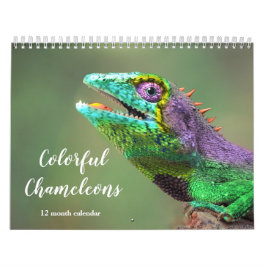 Calendario Coloridas Chameleons 2026