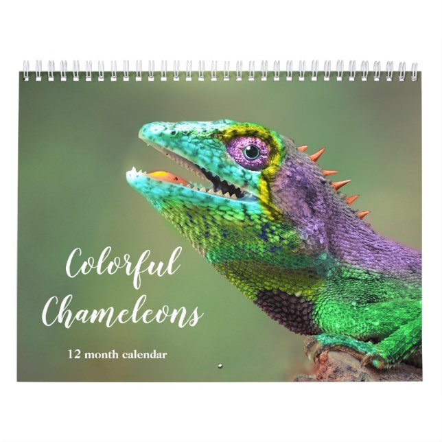 Calendario Coloridas Chameleons 2026 (Tapa)