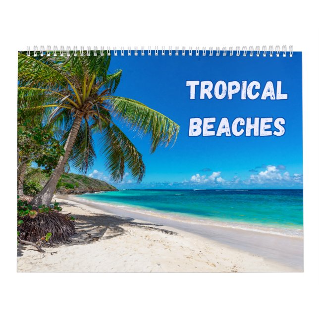 Calendario Coloridas playas tropicales (Tapa)
