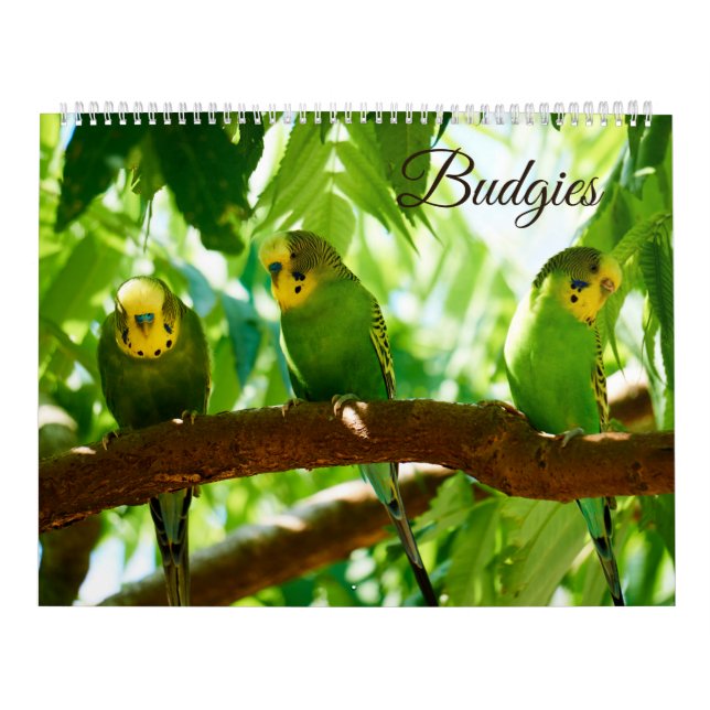 Calendario Colorido Budgies Parakeet Bird Lover (Tapa)