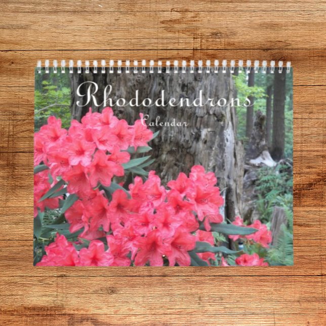 Calendario Colorido Rododendros Fotografía floral (In Situ)