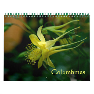 Calendario Columbinas