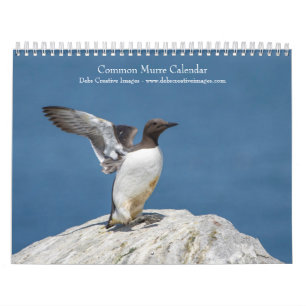 Calendario Common Murre Calendar 2026