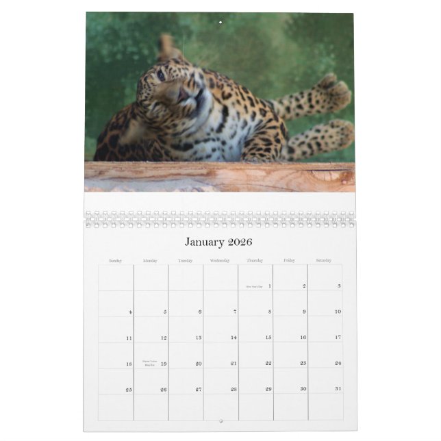 CALENDARIO COMPUESTO FELINO EXÓTICO DE LA CRÍA (Jan 2026)