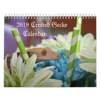 Calendario con cresta del Gecko 2019