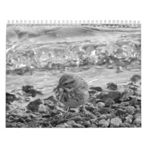 Calendario con fotos de pájaros en blanco al negro