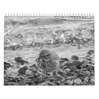 Calendario con fotos de pájaros en blanco al negro