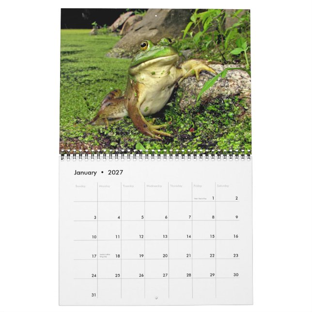 Calendario con las ranas de la charca (Jan 2027)