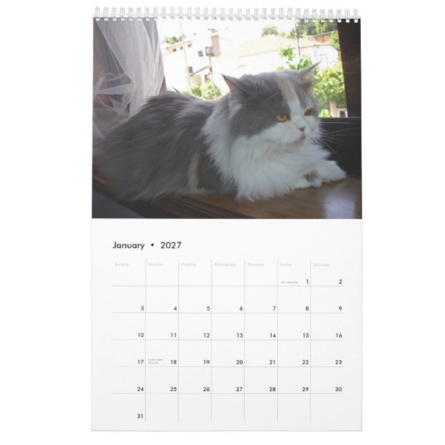 Calendario con los gatos - modificados para (Jan 2027)