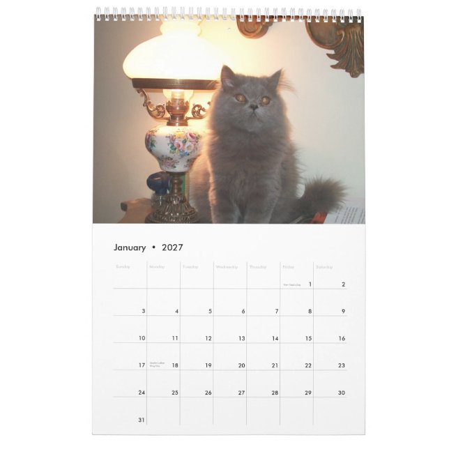 Calendario con los gatos - modificados para (Jan 2027)
