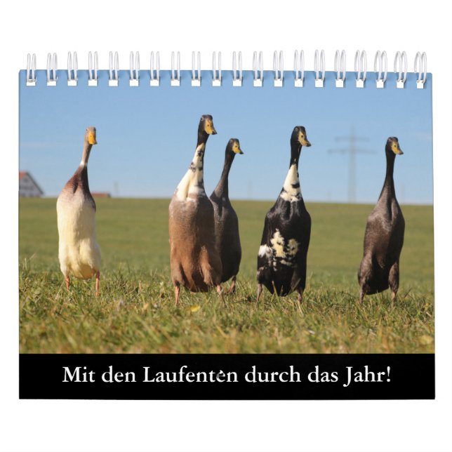 Calendario Con los patos de correr por el año! (Tapa)