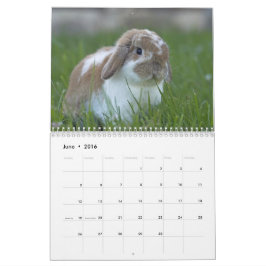 Calendario Conejitos 2016 - 12 meses de conejos de conejito