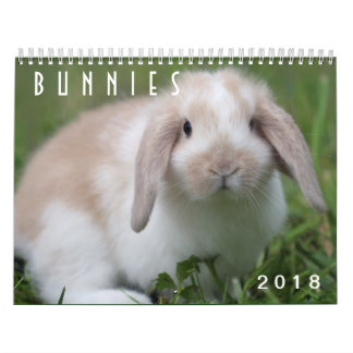 Calendario Conejitos 2018 - 12 meses de conejos de conejito