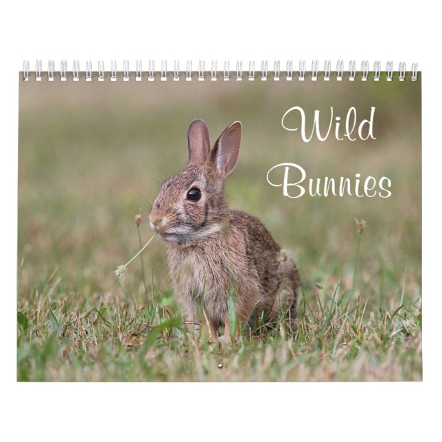Calendario Conejitos salvajes (Tapa)