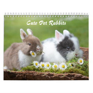 Calendario Conejos conejitos Mascotas