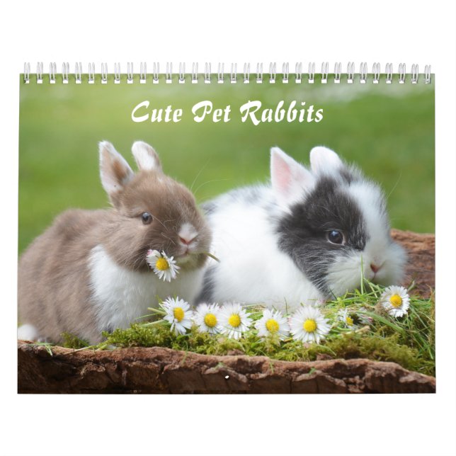 Calendario Conejos conejitos Mascotas (Tapa)