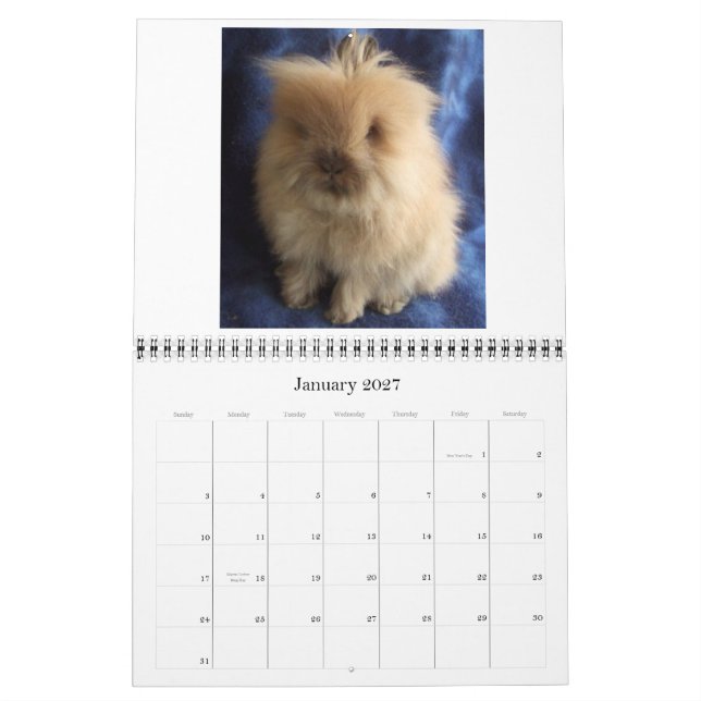 Calendario Conejos de Lionhead 2009-2010 (Jan 2027)