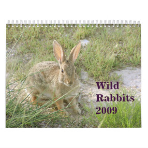 Calendario Conejos salvajes 2009