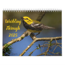 Conmoción hasta 2025