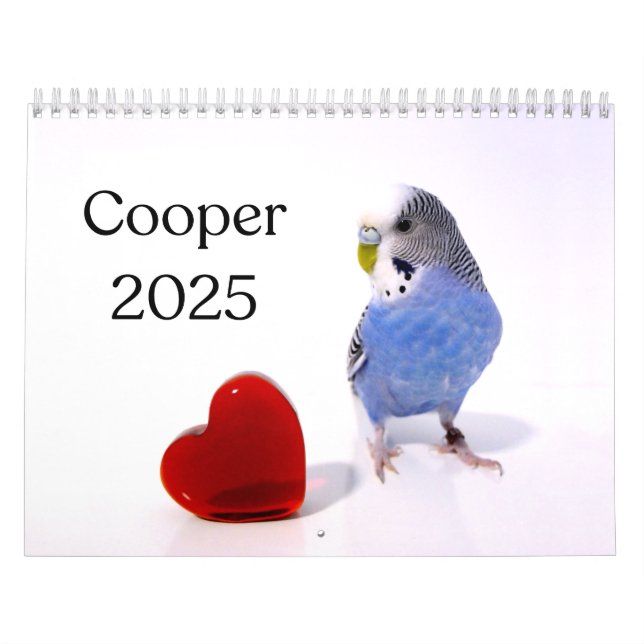 Calendario Cooper the Budgie 2025 (Tapa)