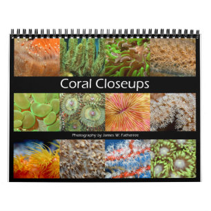 Calendario Coral Closeups Wall Calendar de J.W. Padre.