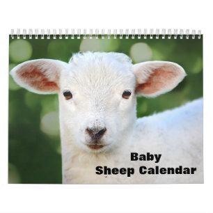 Calendario Cordero bebé 2027