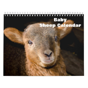 Calendario Cordero bebé 2027