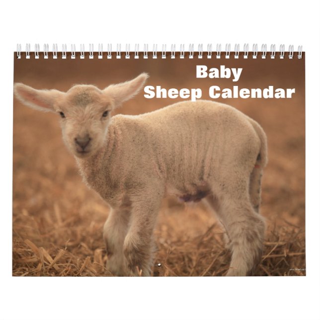 Calendario Cordero bebé 2027 (Tapa)