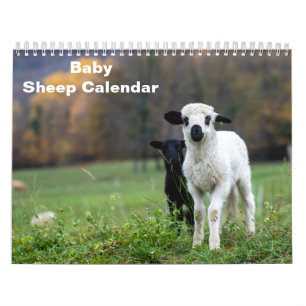 Calendario Cordero bebé de 2027