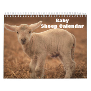 Calendario Cordero oveja bebé 2027